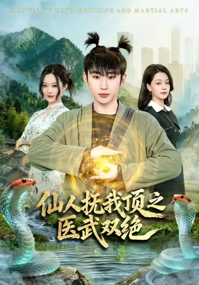 短剧《仙人抚我顶之医武双绝》剧情介绍