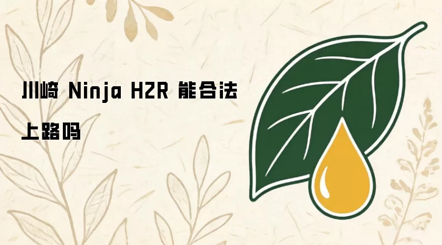 川崎 Ninja H2R 能合法上路吗