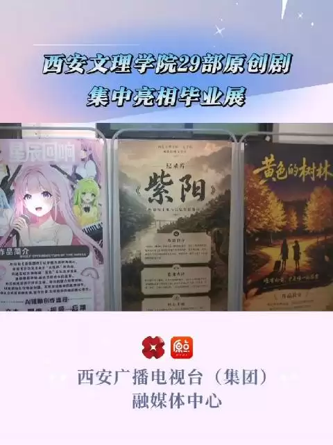 西安文理学院29部原创剧集中亮相毕业展