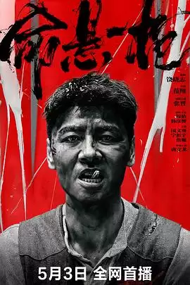 电影《命悬一枪四川话》剧情介绍