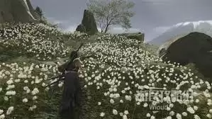 羊蹄山之魂静曙头带如何获取