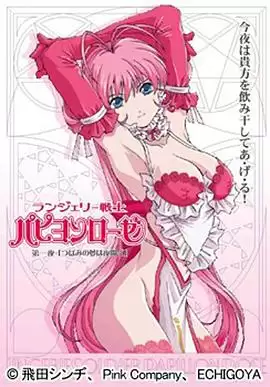 动漫《内衣战士玫瑰蝴蝶OVA》剧情简介