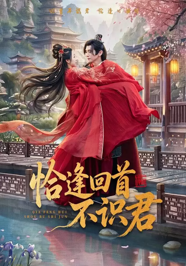 短剧《恰逢回首不识君》剧情简介