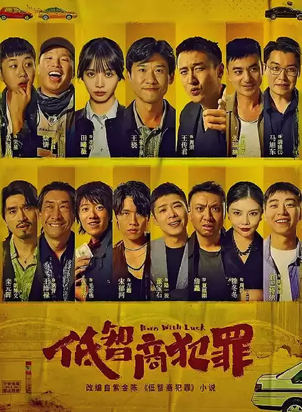 《低智商犯罪》：当喜剧撞上悬疑