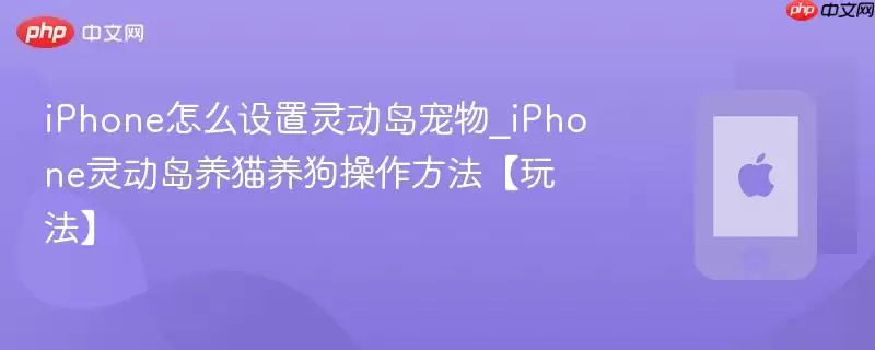 iPhone怎么设置灵动岛宠物_iPhone灵动岛养猫养狗操作方法玩法
