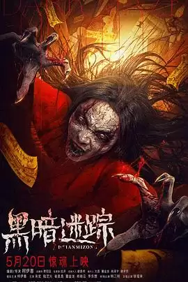电影黑暗迷踪剧情介绍