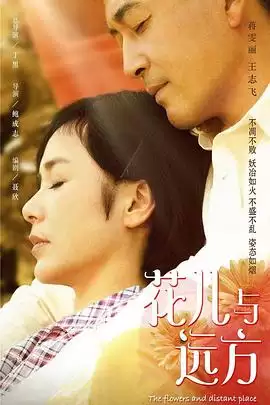 电视剧花儿与远方剧情介绍