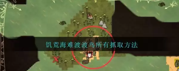 饥荒海难渡渡鸟怎么捕捉：饥荒海难渡渡鸟所有抓取方法