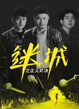 电影《迷城之正义对决》剧情介绍