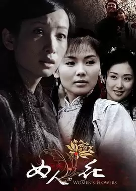 电视剧《女人花》剧情介绍