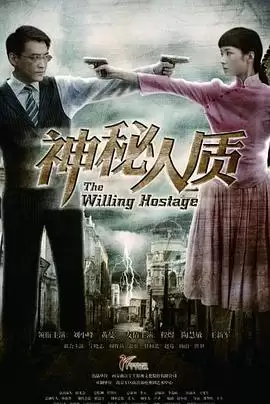 电视剧《神秘人质》剧情介绍