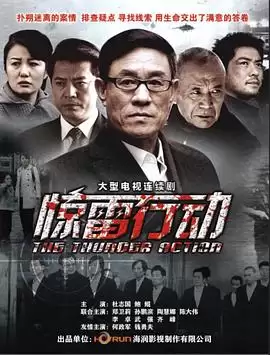 电视剧《惊雷行动》剧情介绍