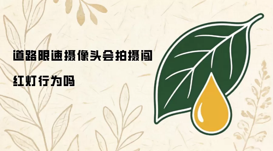 道路限速摄像头会拍摄闯红灯行为吗