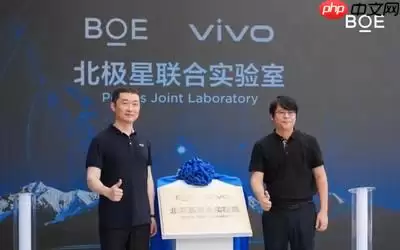 京东方和vivo成立北极星联合实验室 将开展深度联合研发