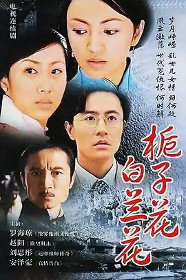 电视剧栀子花白兰花剧情介绍