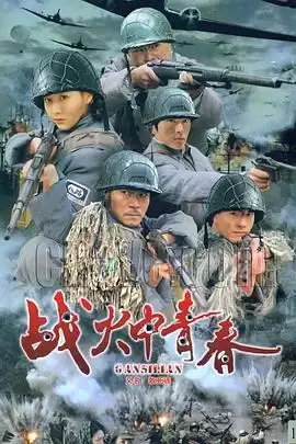 电视剧战火中青春剧情介绍