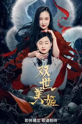 电视剧《双世美姬》剧情梗概