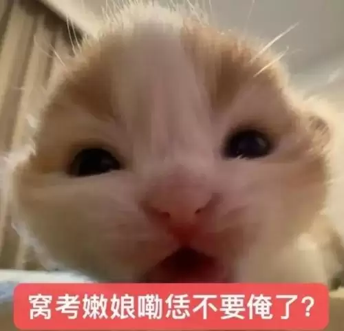 可爱抽象的小猫表情包4