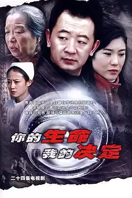 电视剧《你的生命我的决定》剧情介绍