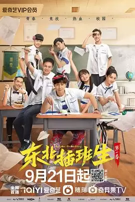 电视剧《东北插班生》剧情介绍