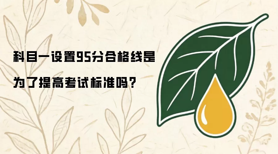 科目一设置95分合格线意在提高考试标准吗