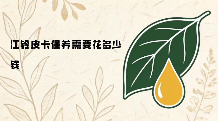 江铃皮卡保养要花多少钱