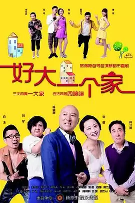电视剧好大一个家剧情介绍