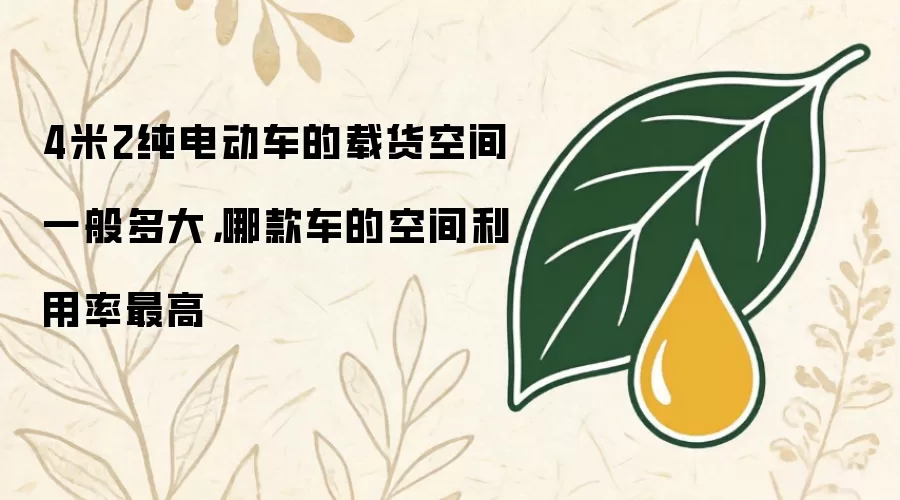 4米2纯电动车的载货空间一般多大，哪款车的空间利用率最高