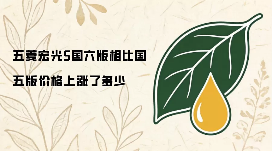 五菱宏光S国六版相比国五版价格上涨了多少
