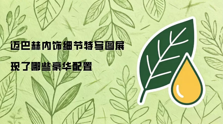 迈巴赫内饰细节特写图展现了哪些豪华配置