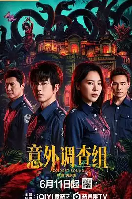 电视剧《意外调查组》剧情介绍
