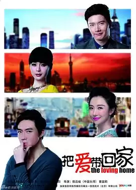 电视剧《把爱带回家DVD》剧情介绍