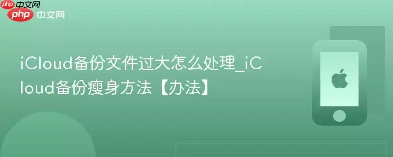 iCloud备份文件过大怎么处理_iCloud备份瘦身方法(办法)
