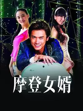 电视剧摩登女婿剧情介绍