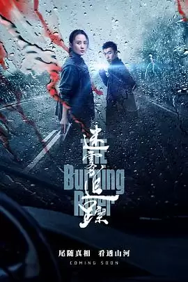 电视剧《迷雾追踪》剧情介绍