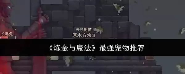 《炼金与魔法》最强宠物推荐