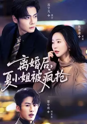 短剧《离婚后，夏小姐被疯抢》剧情介绍