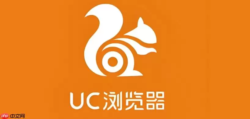 怎样在UC浏览器里查看网页的源代码？