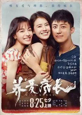 影片《和荞麦一起疯长的日子上集》剧情介绍