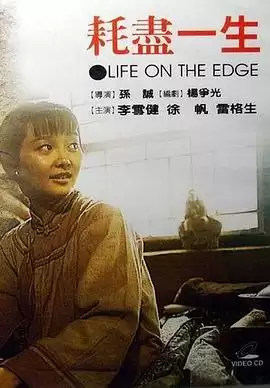 电影《耗尽一生》：剧情介绍