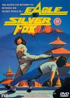 电影《飞天拳》剧情简介