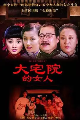 电视剧大宅院的女人剧情介绍