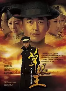 电视剧《草根王》剧情介绍