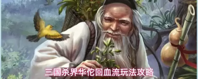 三国杀界华佗回血流玩法详解攻略