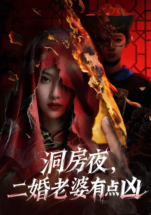 短剧《洞房夜，二婚老婆有点凶》剧情介绍