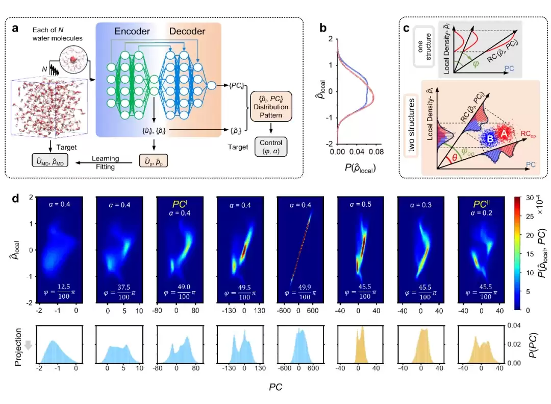 争论几十年的水之谜,被AI一举破解!港城大&中石大成果登Nature Physics