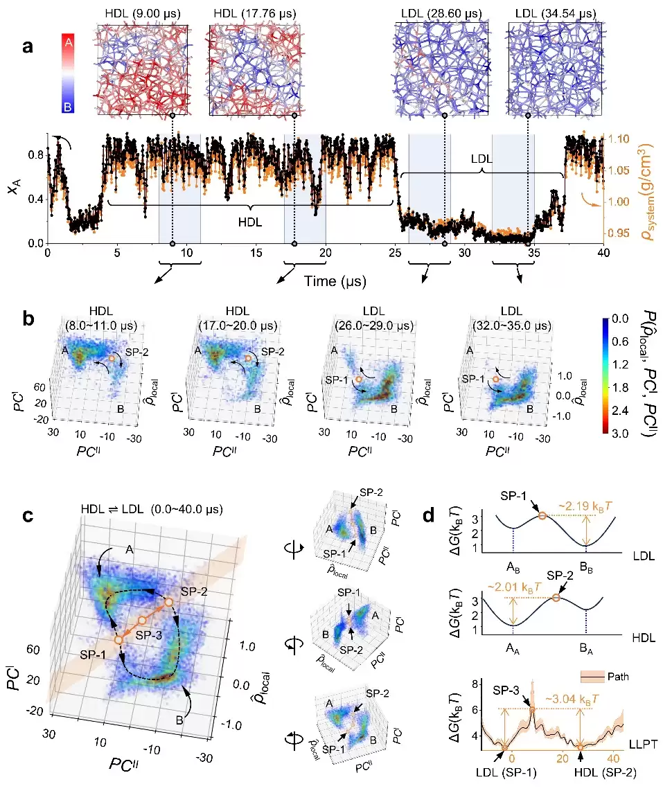 争论几十年的水之谜,被AI一举破解!港城大&中石大成果登Nature Physics