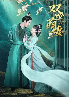 电视剧《双世萌妻》剧情介绍