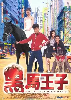 电影《黑马王子》剧情梗概
