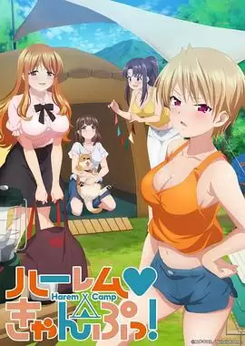 《后宫露营！》动漫剧情介绍
